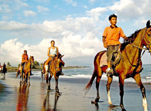 Antalya Horse Riding Tour